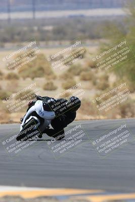 media/May-14-2023-SoCal Trackdays (Sun) [[024eb53b40]]/Turn 5 Tree of Life (1125am)/